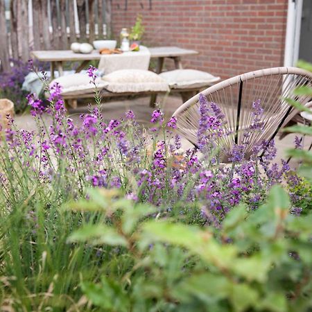 Vakantiehuisje Bloem 4 Personen Stolpen 外观 照片