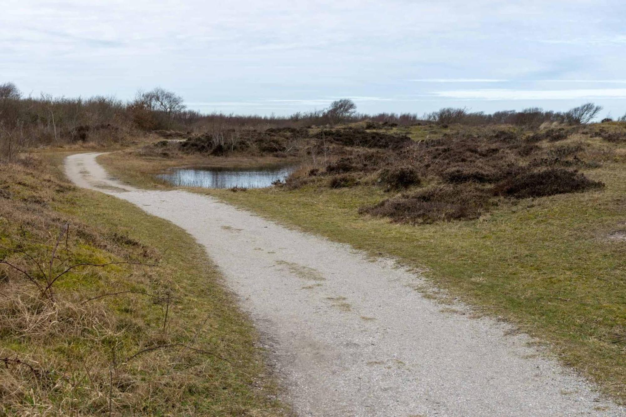 Vakantiehuisje Bloem 4 Personen Stolpen 外观 照片